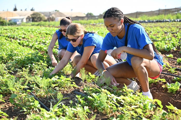 3 MUSA girls picking weeds at farm LevLLev DCS_0294