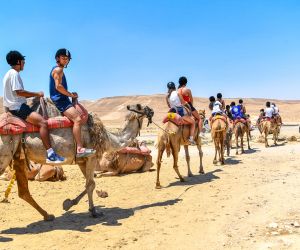Good Camel rides at Bedouin community DSC_8576 Good Camel rides at Bedouin community DSC_8576