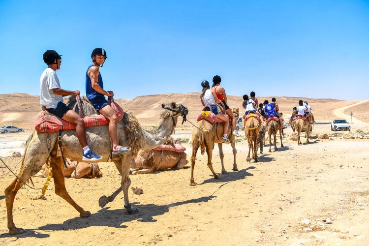 Good Camel rides at Bedouin community DSC_8576