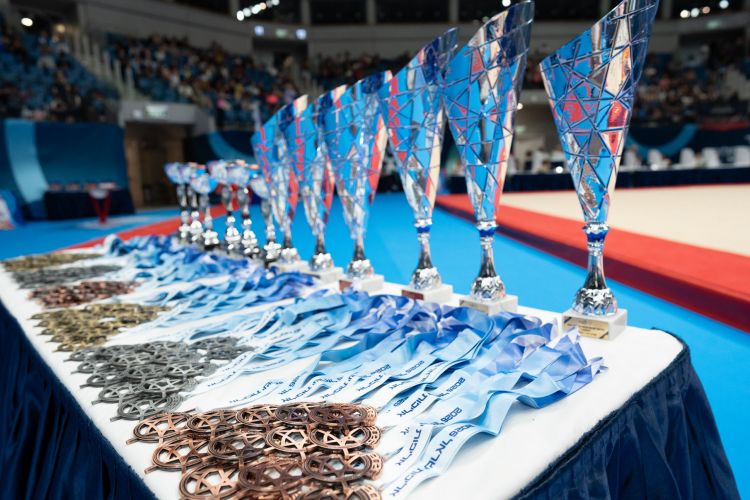 Gymnastics trophies and medals DSC03105