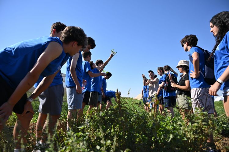 LevLLev Farm kids in row good shot pull weeds during Israel Connect DCS_0266
