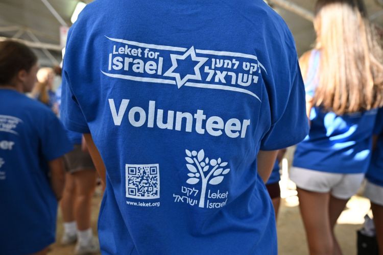 Volunteer on back of shirt during Israel Connect DCS_0149