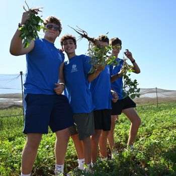 MUSA boys showing off weeds picked at Lev L'Lev Farm DCS_0366 MUSA boys showing off weeds picked at Lev L'Lev Farm DCS_0366
